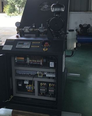 Un buen precio. Cogeneración micro refrigerada por agua de CHP Cogenerator 12KW 15KW LPG del LPG del motor en línea