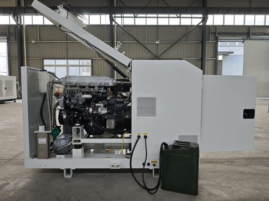 Un buen precio. Emisiones bajas silenciosas estupendas diesel 20KW 25KVA de CHP del generador micro en línea