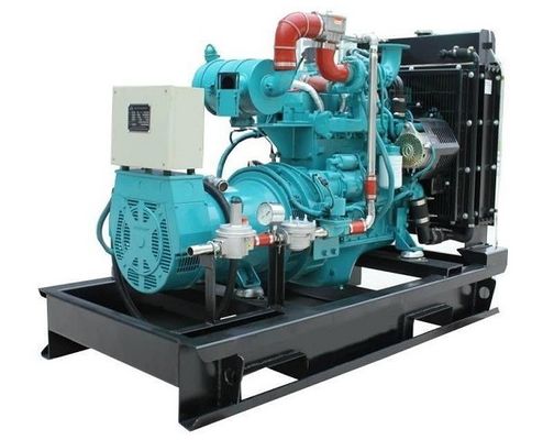 Un buen precio. Generador eléctrico alimentado por biogás de energía verde 50Hz / 60Hz 30KW 40KVA Verificado CE en línea