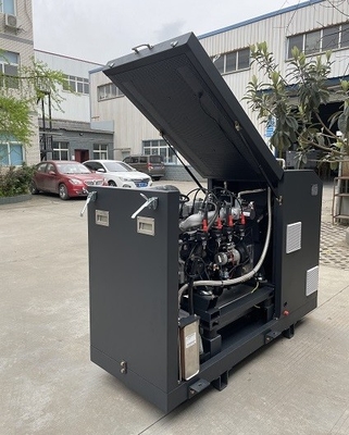 Un buen precio. El CE de la eficacia alta aprobó CHP micro Mini Cogenerator Set Unit System 16kw 20kva del biogás en línea
