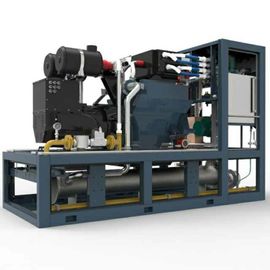 Un buen precio. El biogás de 3 fases combinó el calor y los sistemas eléctricos la alta confiabilidad 400V/230V de 220KW en línea