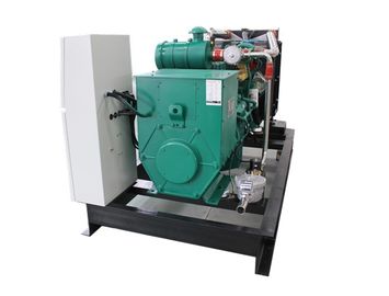Un buen precio. CHP a prueba de mal tiempo del biogás de 50HZ 230V, calor y poder BHKW 25KW 30KVA de CHP del combustible del biogás en línea