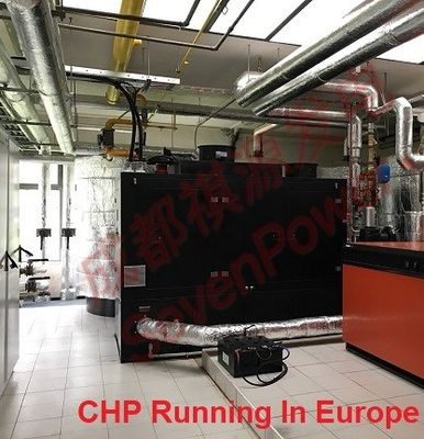 Un buen precio. Generador continuo del gas natural de 50Hz 100KW en línea