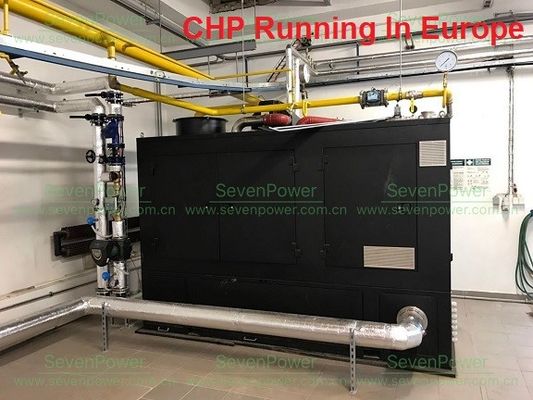 Un buen precio. Generador silencioso favorable al medio ambiente del gas natural de 250KW 300KVA en línea